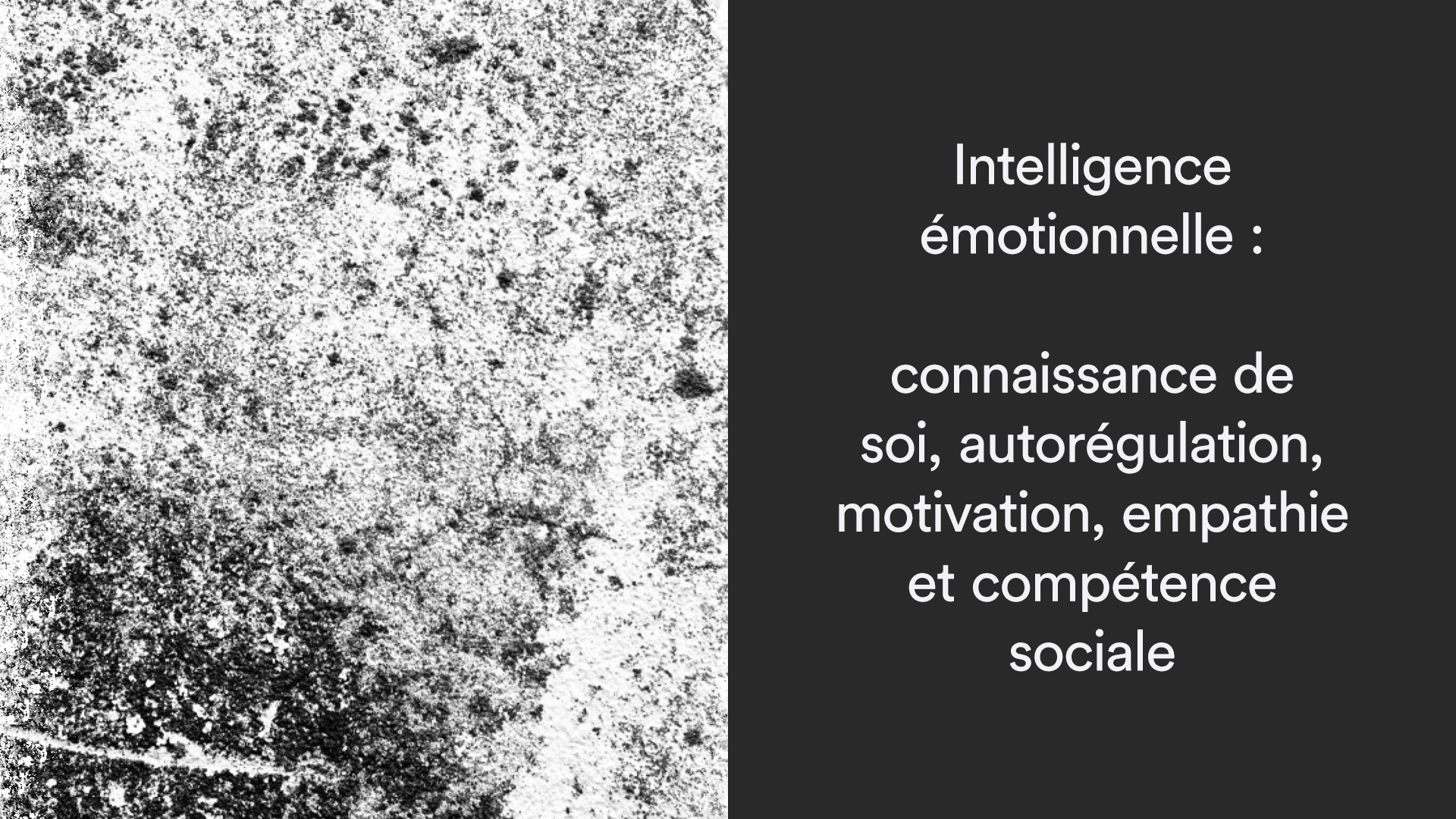 intelligence-emotionnelle-cover-1
